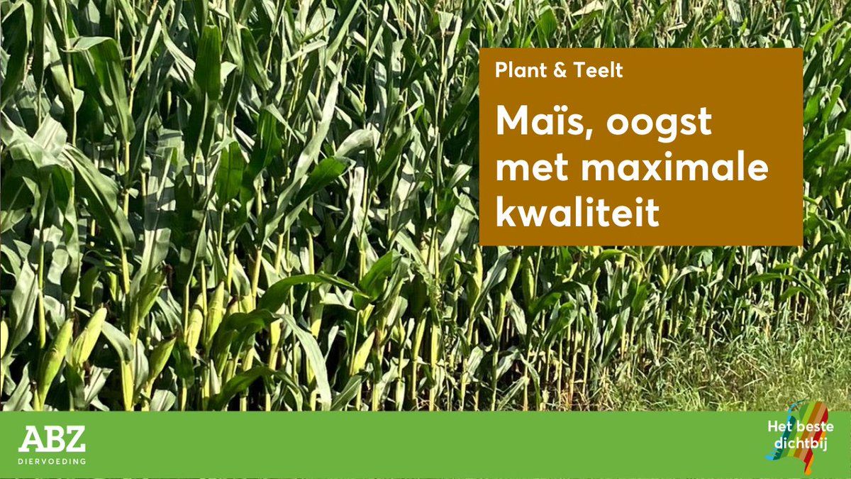 ★ Maïs: oogst van maximale kwaliteit! ★

De eerste maïsoogst is inmiddels van start.  Om goed voorbereid te zijn, brengen wij u ons stappenplan graag onder de aandacht:

Bekijk ons stappenplan: bitly.cx/w1eK8