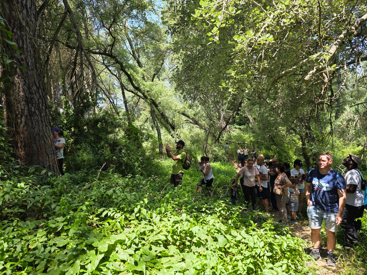 ACTIVIDADES EN EL BOSQUE DE LOS BURRITOS EN HINOJOS (HUELVA).  SÁBADO 13 Y DOMINGO 14🌳🌿
Este finde podréis  visitar los burritos y disfrutar de la naturaleza.
⏱️11:00  a 15:00
ENVIA WASSAP AL:
 674775170 
Donativo (7 €) cc:
ES2720854789310330330232
Bizum: 635024984