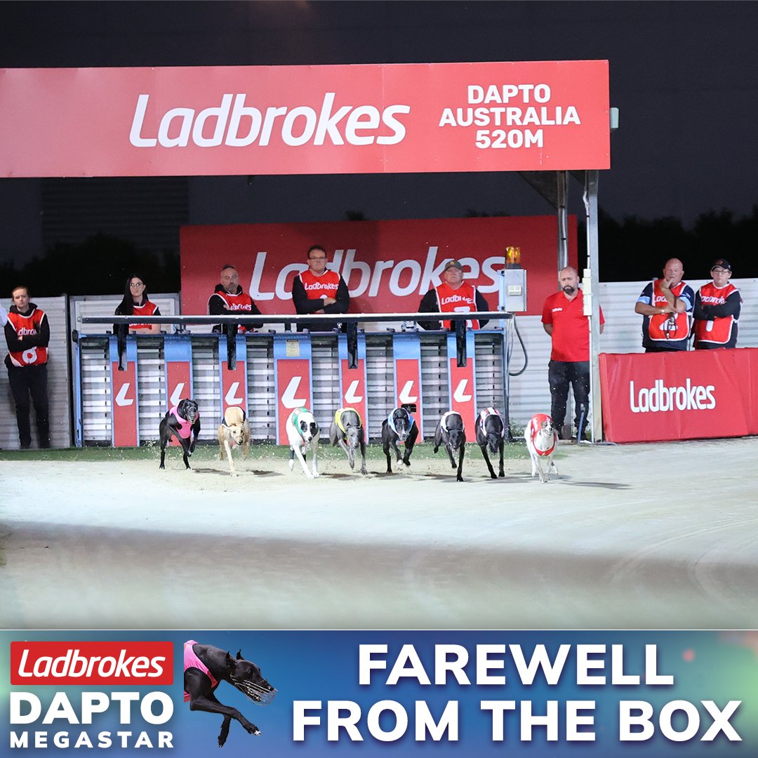 The Dogs tweet media