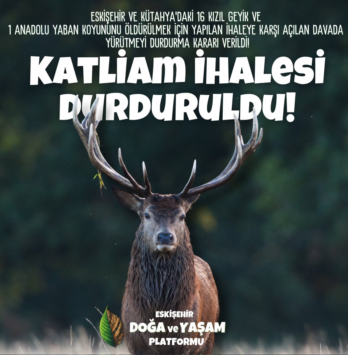 Mahkeme: "Yaban hayatı satılık değil"

Eskişehir ve Kütahya’da 16 kızıl geyik ve 1 Anadolu yaban koyununun ihaleyle avlanmasına karşı Eskişehirli doğa savunucularının açtığı davada Mahkeme ‘yürütmeyi durdurma’ kararı verdi.

Bir kez daha söylüyoruz muhtemel bin kez daha