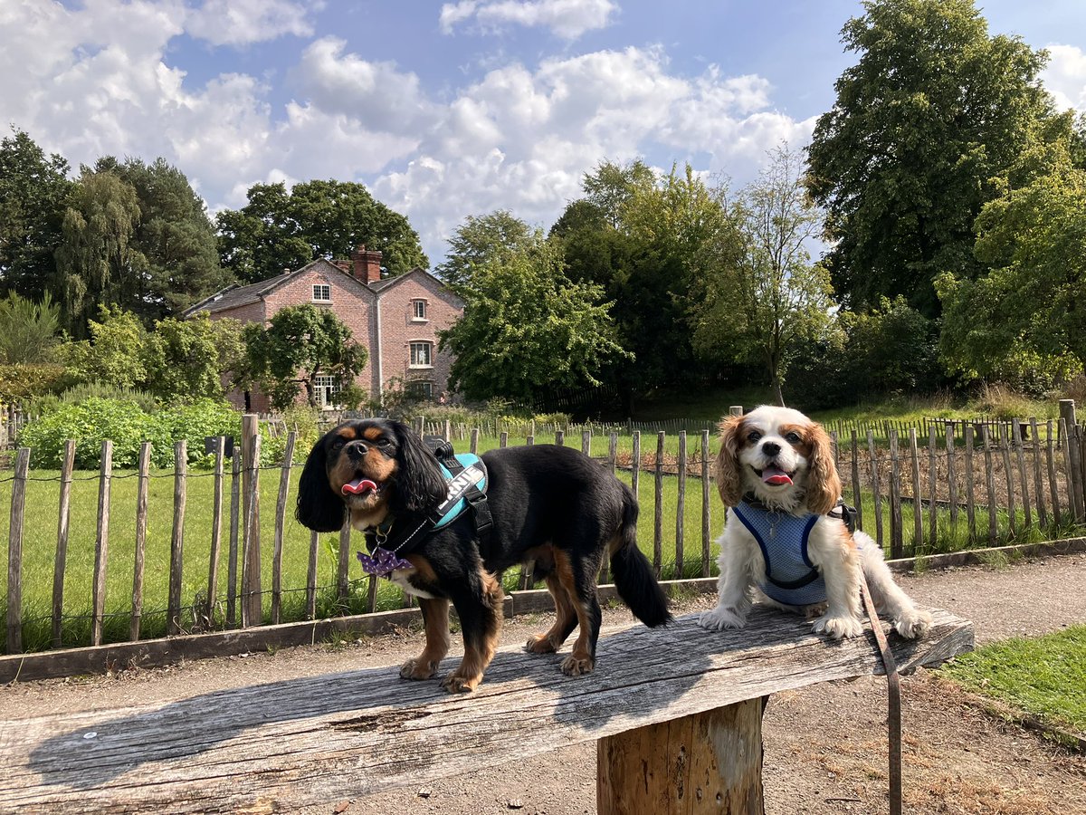 Price27P's tweet photo. @MsRoseCavalier Appy Rainbow birthday to the lufferly Rose! Hope you’re avin a fab day in several cafes &amp; doin lots of #historeee stuff with me big bro. Sendin lots of gentle hugs to your mum today too ❤️❤️❤️🌈🥹 https://t.co/StVrbHIKPj