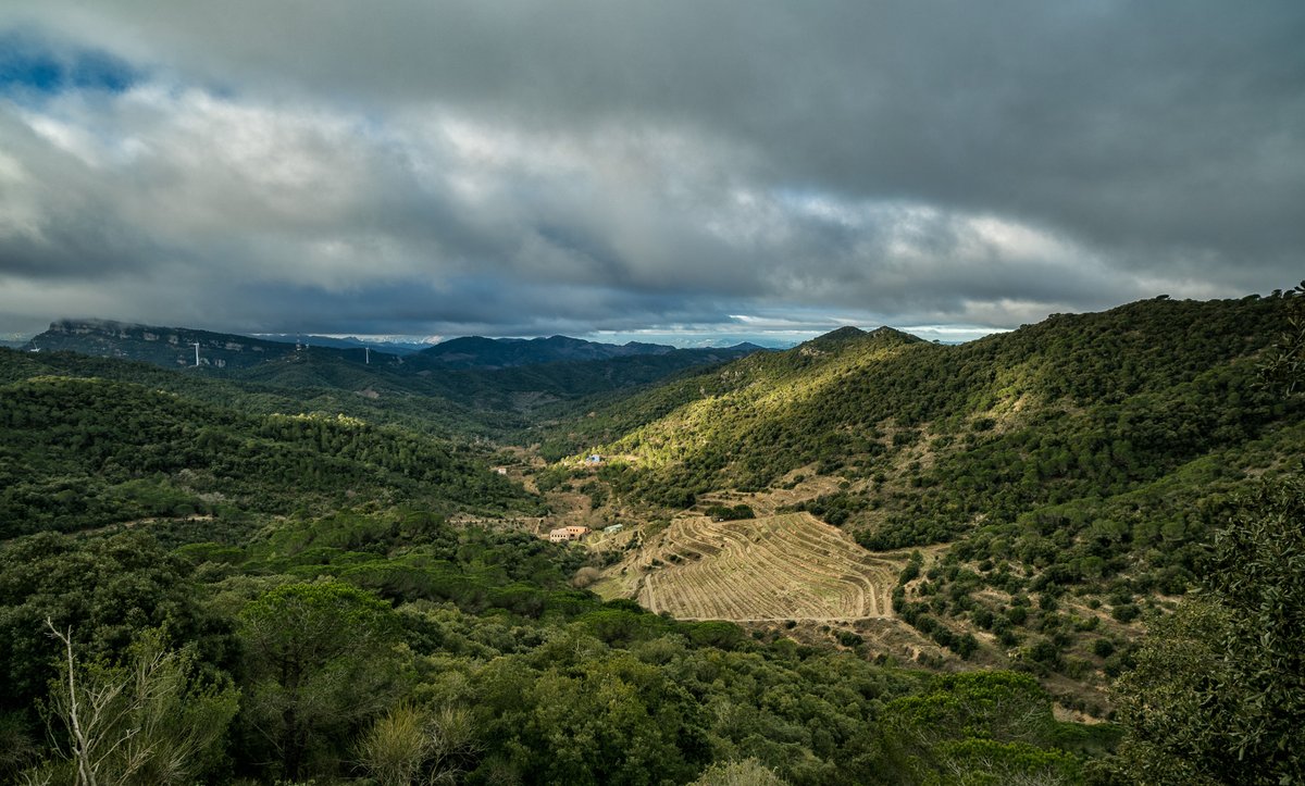 🌄Entre les muntanyes del Baix Camp i les del Priorat, hi ha valls silencioses i ben poc conegudes🌾

Heu estat mai a la capçalera de la vall del riu Cortiella? De marcat caràcter prioratí, se situa al terme municipal d'Alforja🍇

🧘‍♂️Si busqueu tranquil·litat i bellesa, aneu-hi!💘