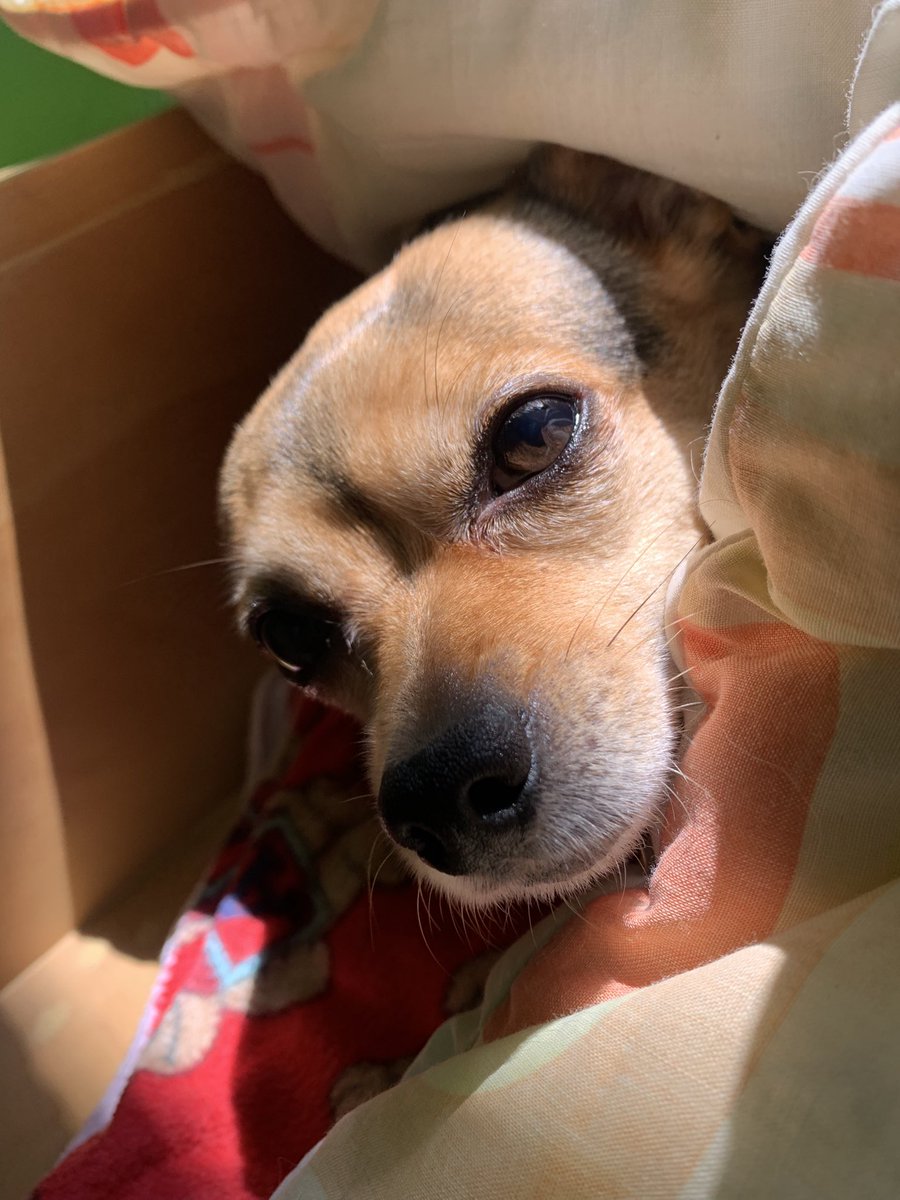 Bonjour à mes amis!

Martecito bello, pleno y sereno para cada uno de ustedes…reciban un muy caluroso y afectuoso saludo. Mil gracias por ser y estar.

Carpe Diem 🍀🍀🍀