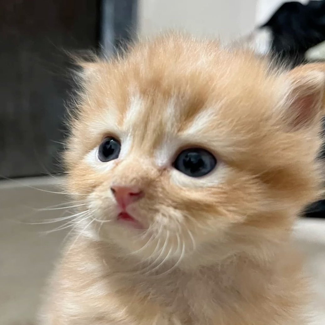 ✩ (@_starsjmn) on Twitter photo 