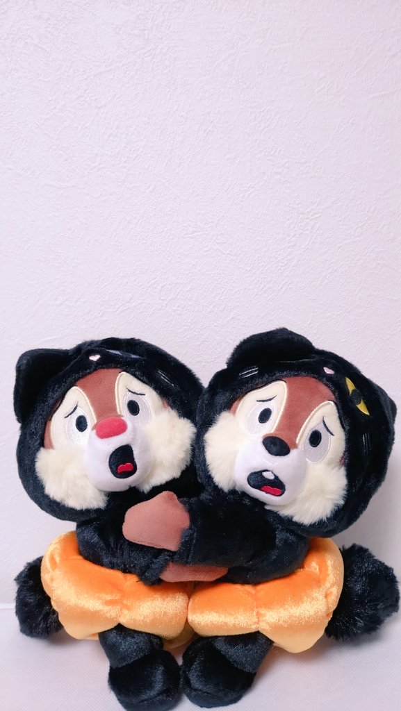 怯え🐿️🐿️ちゃんのぬい届いた〜💞
(復活で)買えてよかった😭😭