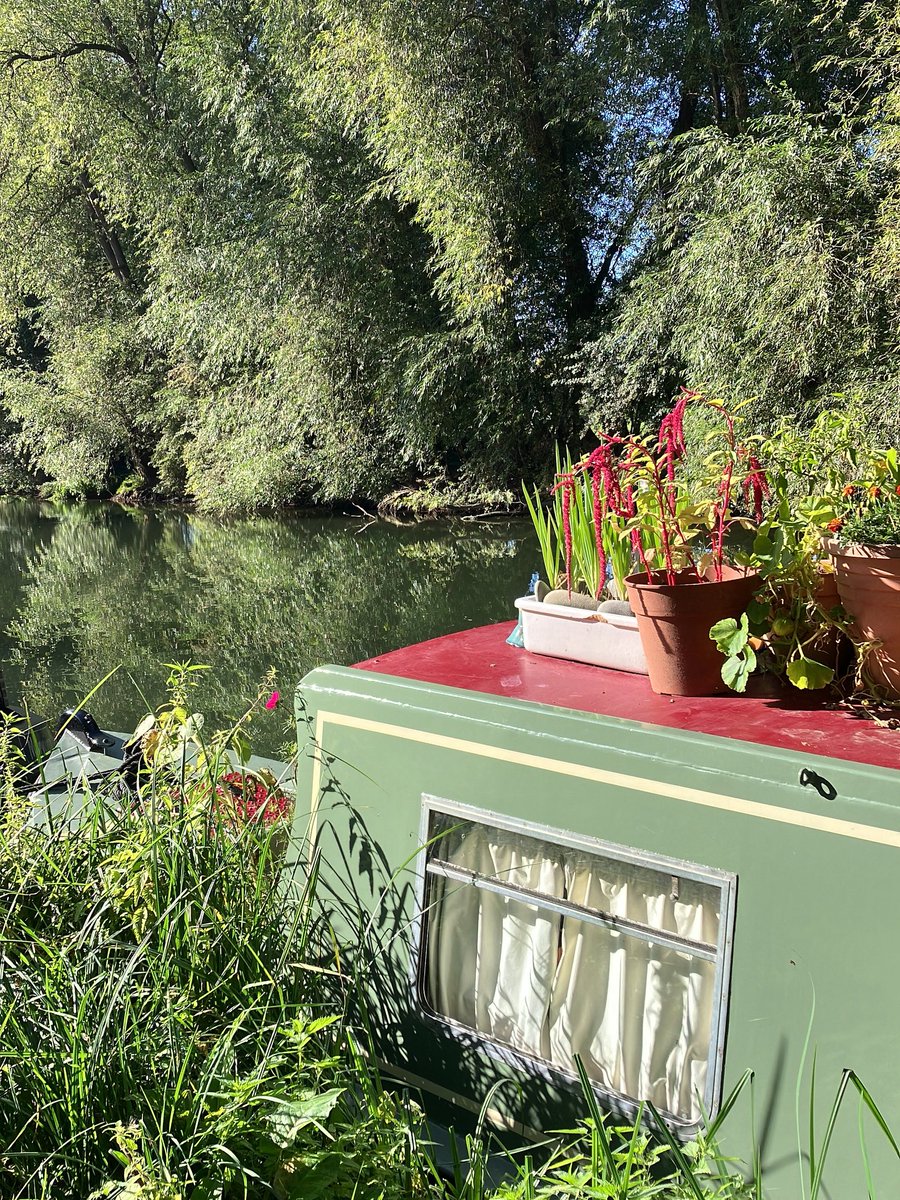 mhauser_author's tweet image. Autumn. 😎