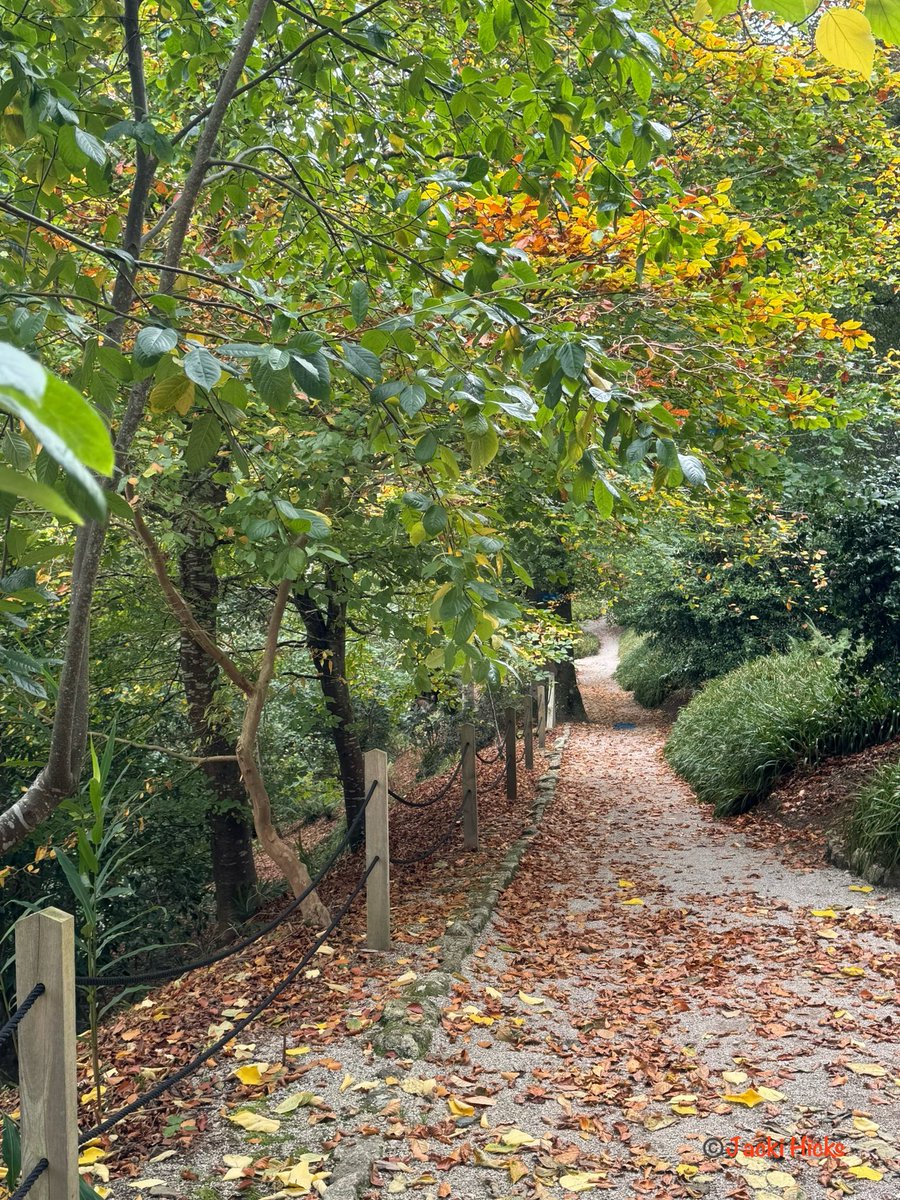 ๐๐๐๐๐ ๐ ใใ (@jackihicks) on Twitter photo <a href="/DailyPicTheme2/">Daily Picture Theme</a> #DailyPictureTheme #Wander โฆ through the gardens at Trelissick, Feock, Cornwall ๐ <a href="/DailyPicTheme2/">Daily Picture Theme</a> #DailyPictureTheme #Wander โฆ through the gardens at Trelissick, Feock, Cornwall ๐