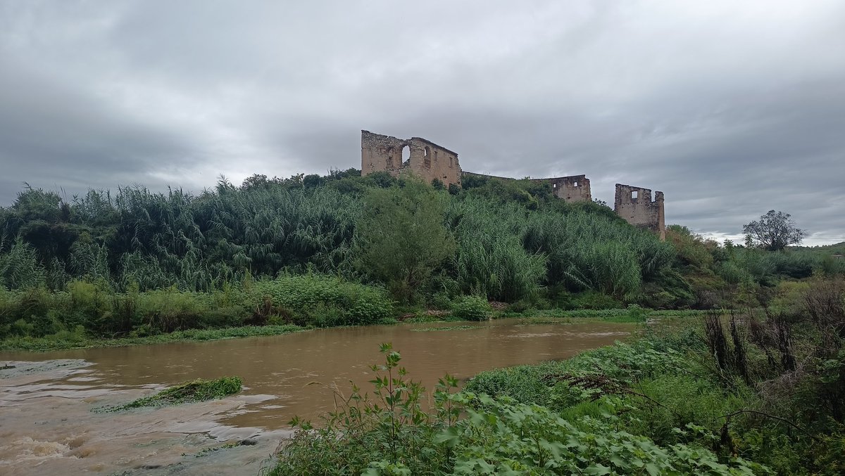 pagesot_'s tweet image. El Francolí a la Masó després del episodi de pluges @alexmegapc @elvallenc @meteocat @Meteomaxima