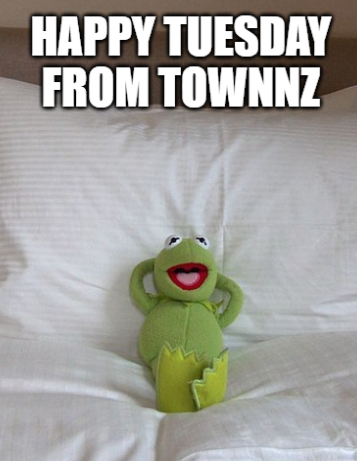 Good Morning! Let's have a great Tuesday! #goodmorning #tuesday #townnz #kermit #meme #tuesdayfeeling