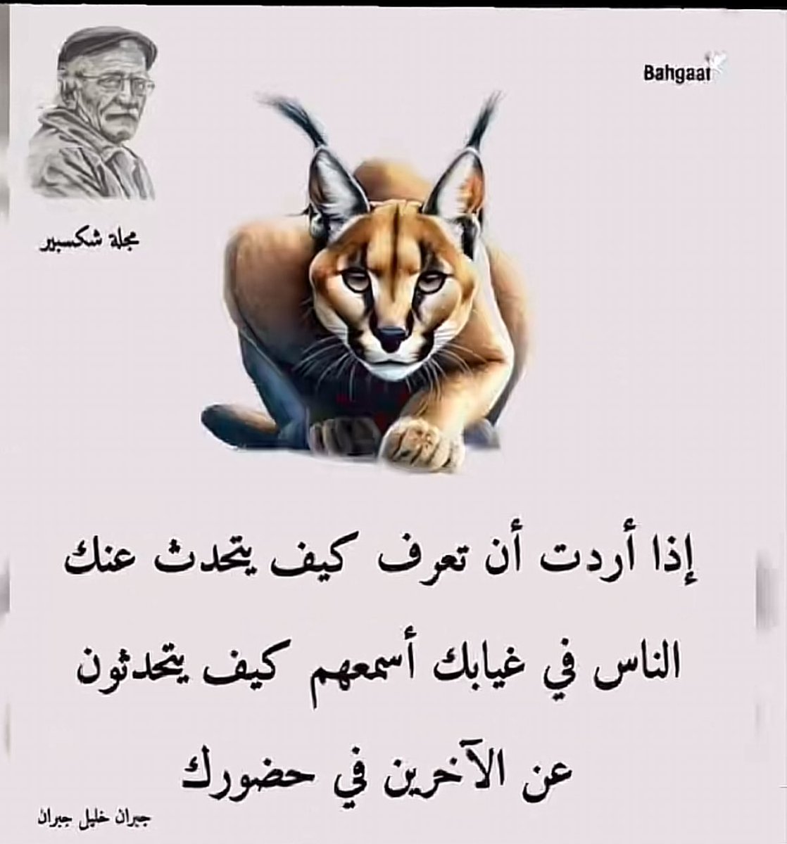 ﮼عبدالمنعم ﮼السعدون (@as1382) on Twitter photo 