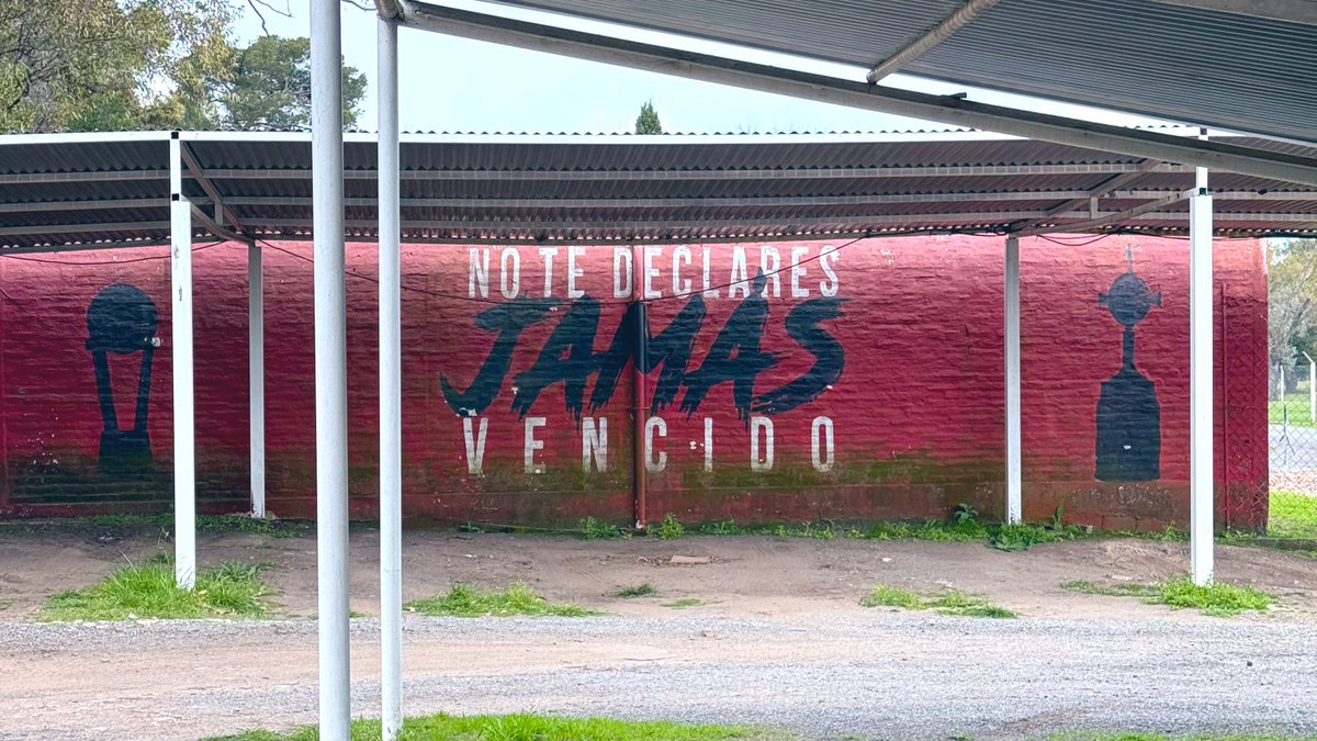 🤞🏼 💫 🇦🇹