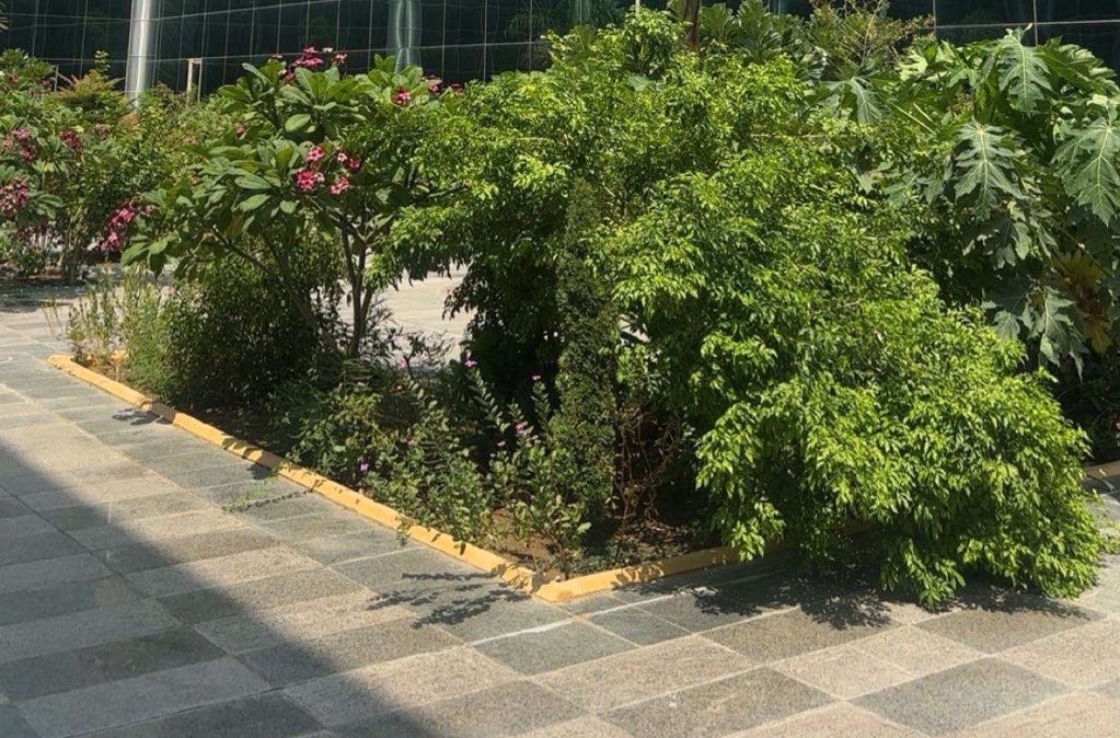 irir221's tweet photo. https://t.co/EgYSsglePj