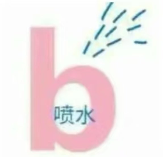 媒体预览