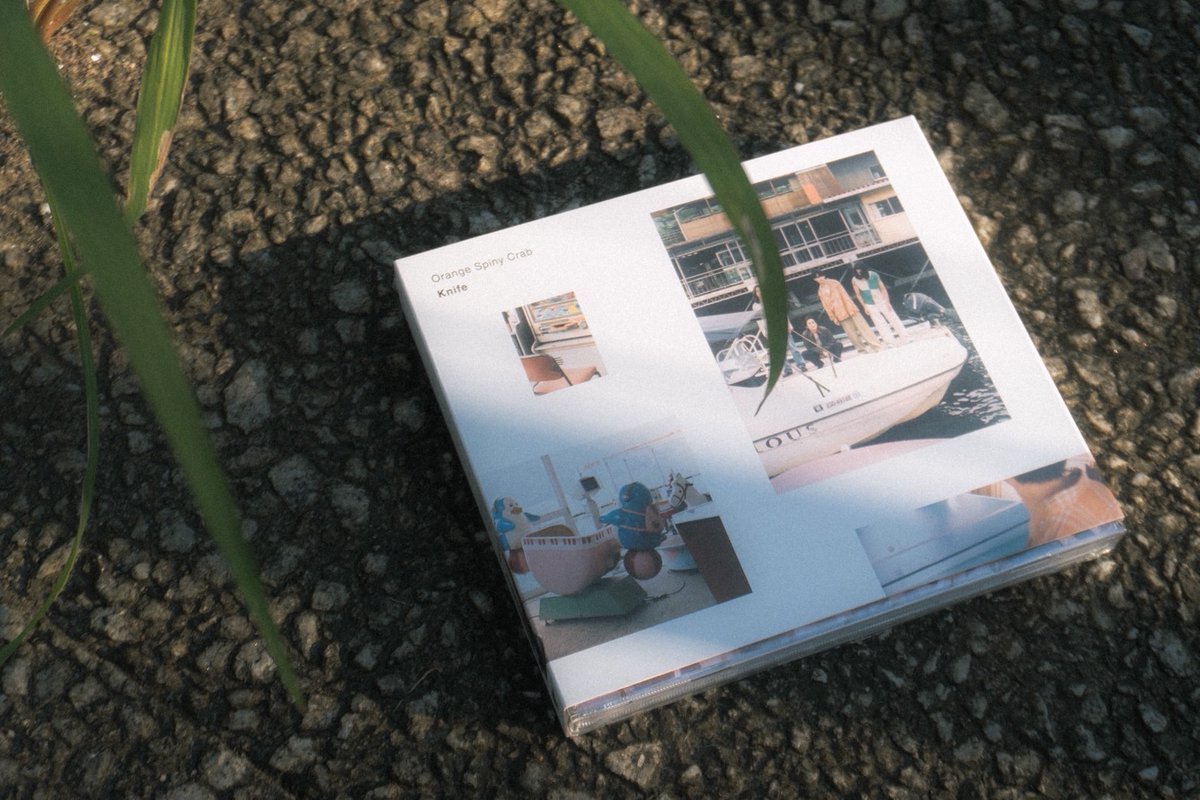 オレンジスパイニクラブ (@orangespinycrab) / Posts / X