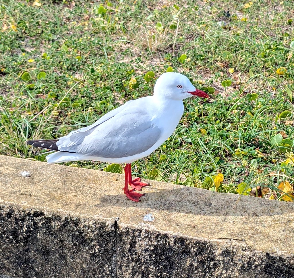 John Cooper tweet media