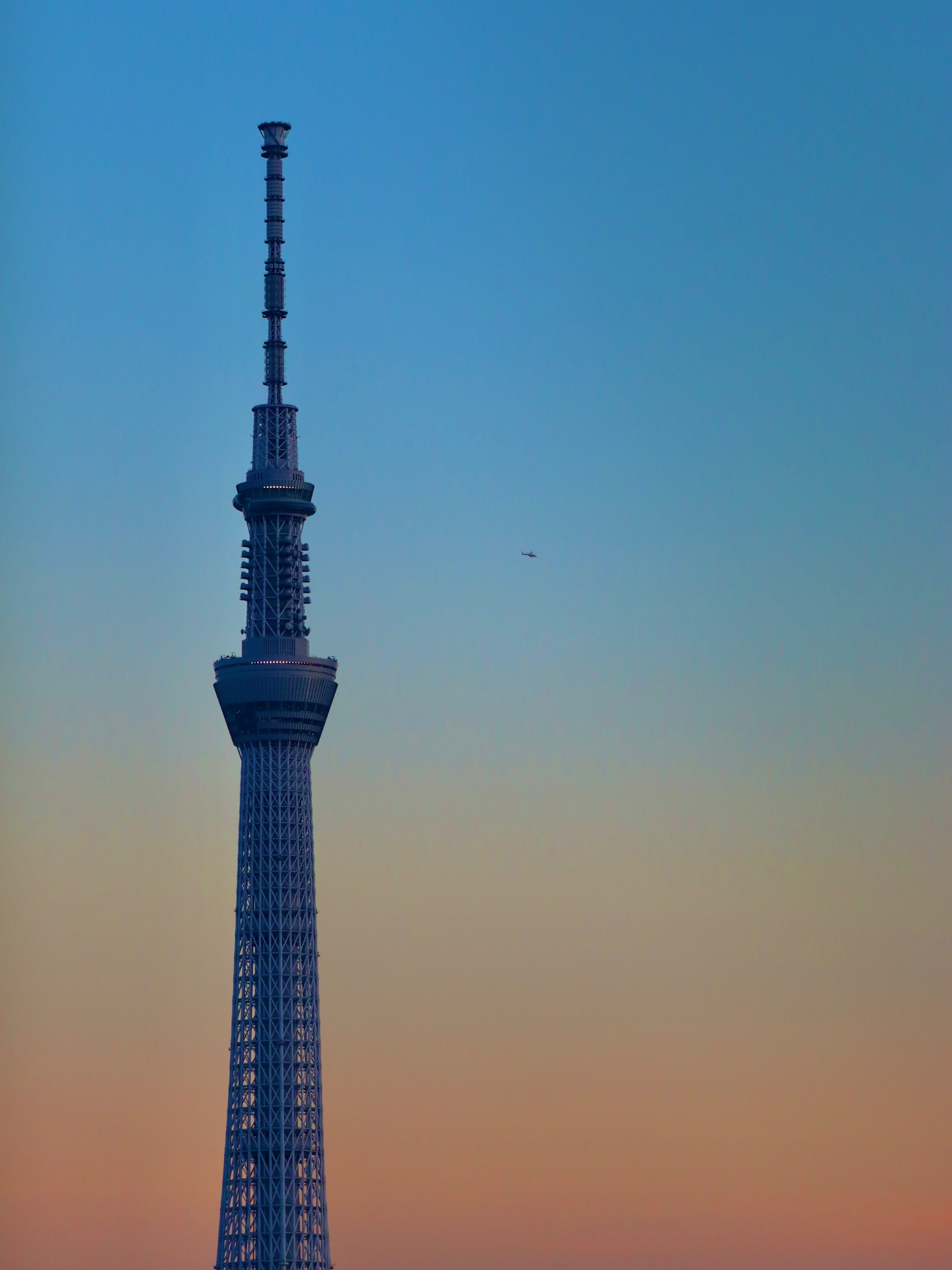 〜絵画〜　夕暮れのスカイツリーを眺めて♫ Amazon.co.jp: 絵画 夕暮れの東京スカイツリーインテリア 絵画