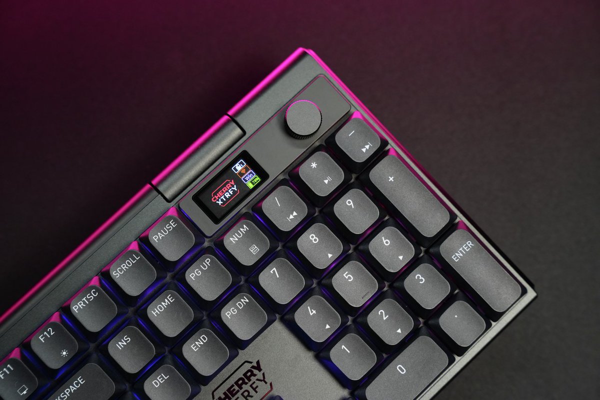 cherryxtrfy's tweet image. Who&apos;s your favorite keyboard reviewer?

#mechanicalkeyboard #review #gaming
