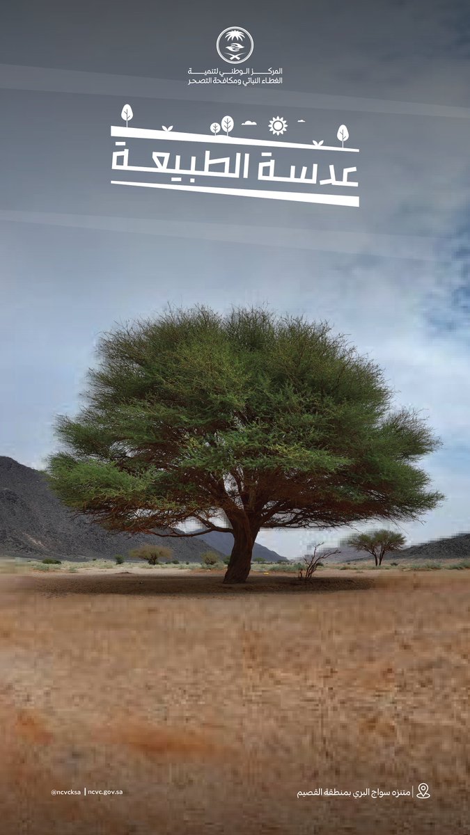 متنزه سواج البري بمنطقة القصيم..

في قلب الصحراء، تتجلى آيات الجمال والصمود؛ أشجار تنبض بالحياة وتواجه التحديات البيئية بثبات وهدوء.
