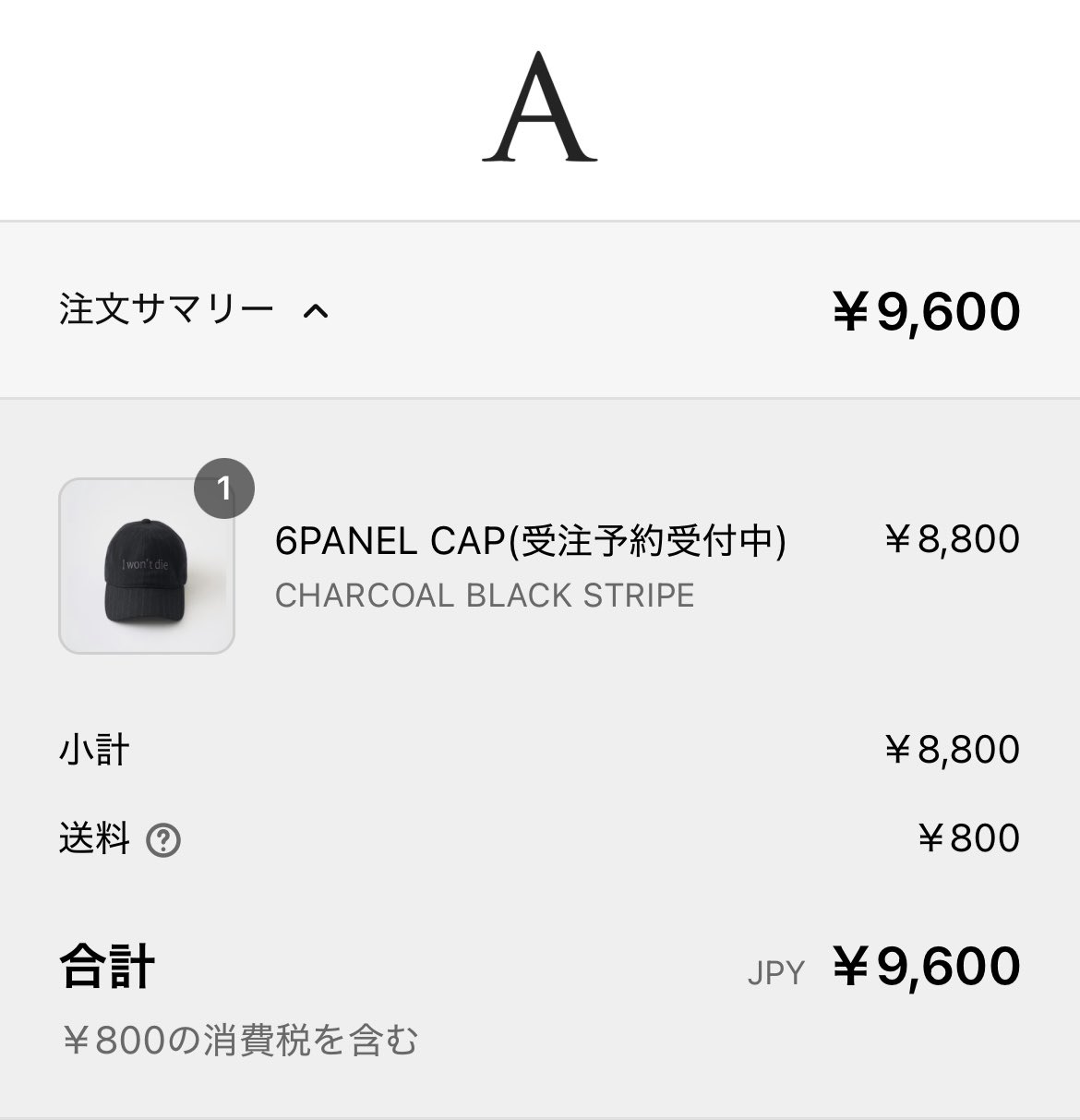 I wo'nt die 6PANEL CAP abyts 佐藤健 新品 キャップ 佐藤健が