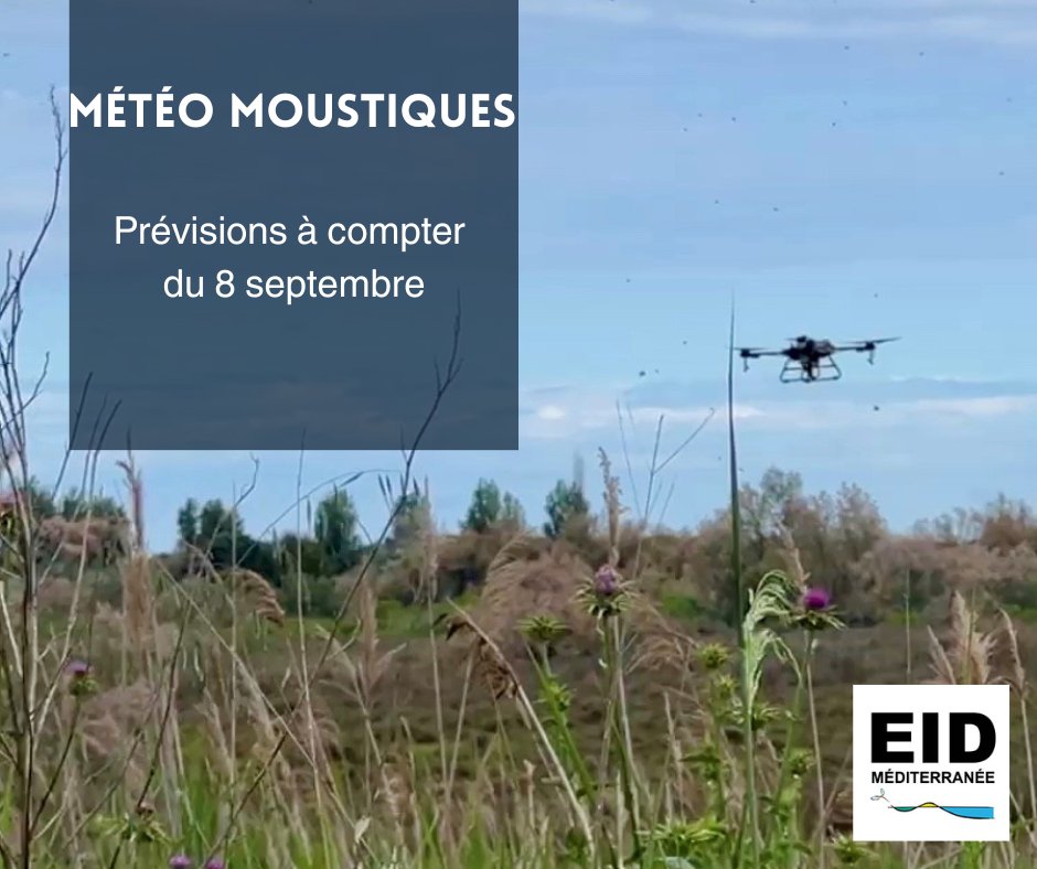 🦟Météo #moustiques ruraux
Prévisions à compter du 18 août en <a href="/Occitanie/">Région Occitanie</a> par département : eid-med.org/bul-operationn…
Le risque de nuisance est faible à moyen en fin de semaine.
📍 <a href="/departement13/">Département des Bouches-du-Rhône</a>
📍 <a href="/leDepartement66/">Département des Pyrénées-Orientales</a> 
📍 <a href="/Gard/">Conseil départemental du Gard</a>
📍 <a href="/Heraultinfos/">Département de l'Hérault</a>
📍 #Aude