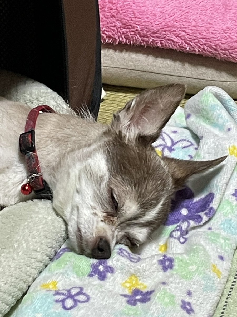 とっても気持ち良さそう♡