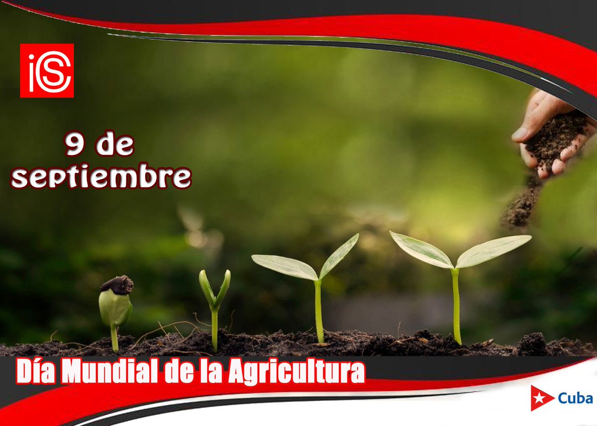 ¡Feliz día a todos los trabajadores de la agricultura cubana! 
Hoy en #Cuba es indispensable el trabajo agrícola, que junto a la innovación, la ciencia y la tecnología, contribuyen a lograr la soberanía alimentaria de la nación.