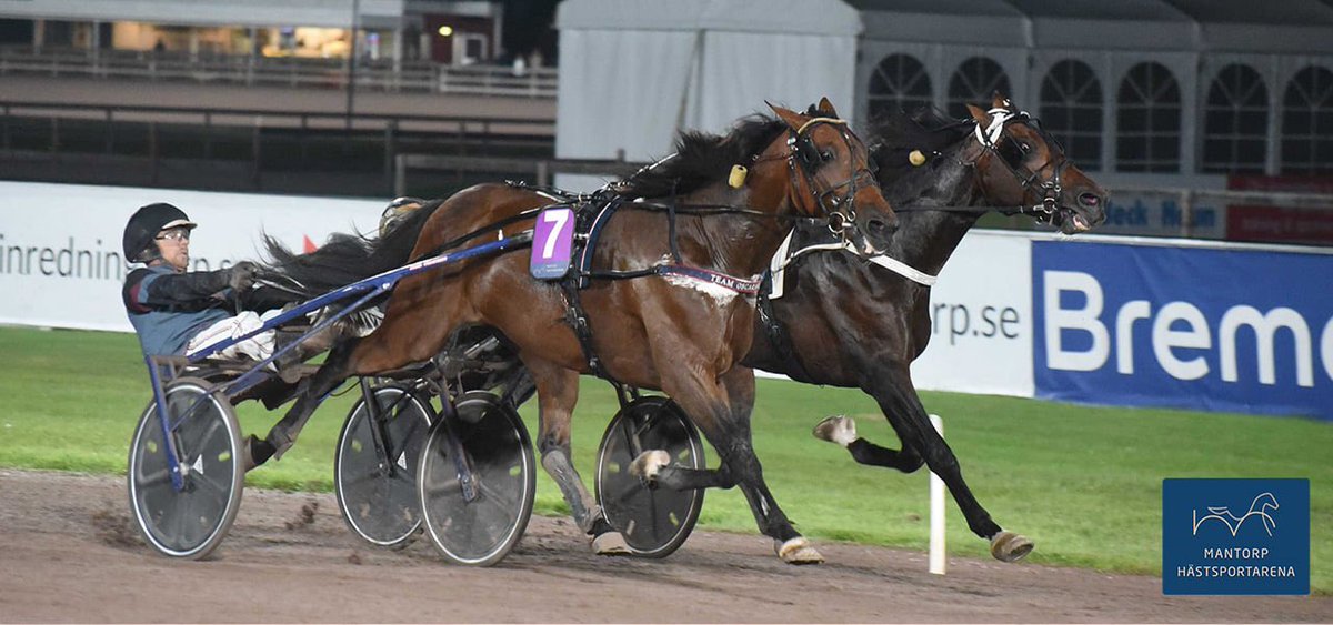 Kvällens man Kevin Oscarsson!

Första gången jag stötte på Kevin var när han skulle börja i skolan. Efter en framgångsrik karriär i ponnytravet är han nu som 30-åring på väg att etablera sig rejält som proffstränare. Igår kväll tog han fyra segrar
Läs mer: mantorphastsportarena.se/nyheter/kvaell…