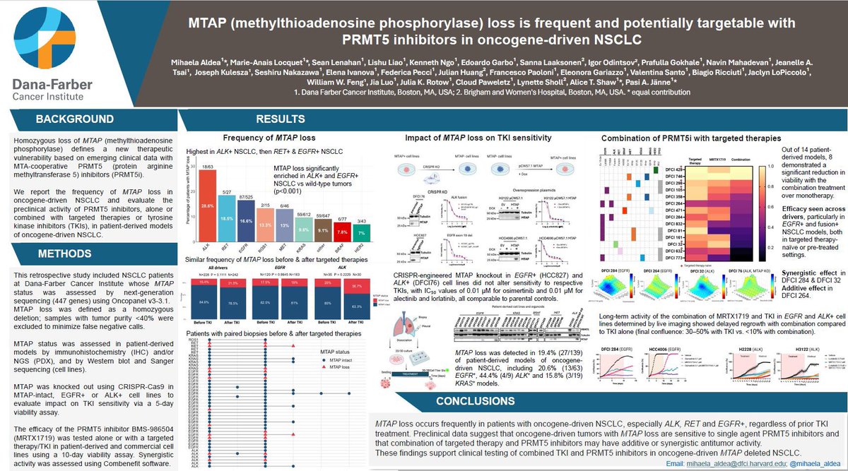 Be ready to screen MTAP loss in all pts with advanced NSCLC, regardless of driver.
<a href="/mihaela_aldea/">Mihaela Aldea</a> shows incidence, highest in ALK/RET/EGFR/ROS1.
AMG193 paved the way at #ESMO24.
BMS-986504 confirms druggability: 29% ORR + many durable SD (slide <a href="/CharuAggarwalMD/">Charu Aggarwal, MD, MPH, FASCO</a>). #WCLC25
