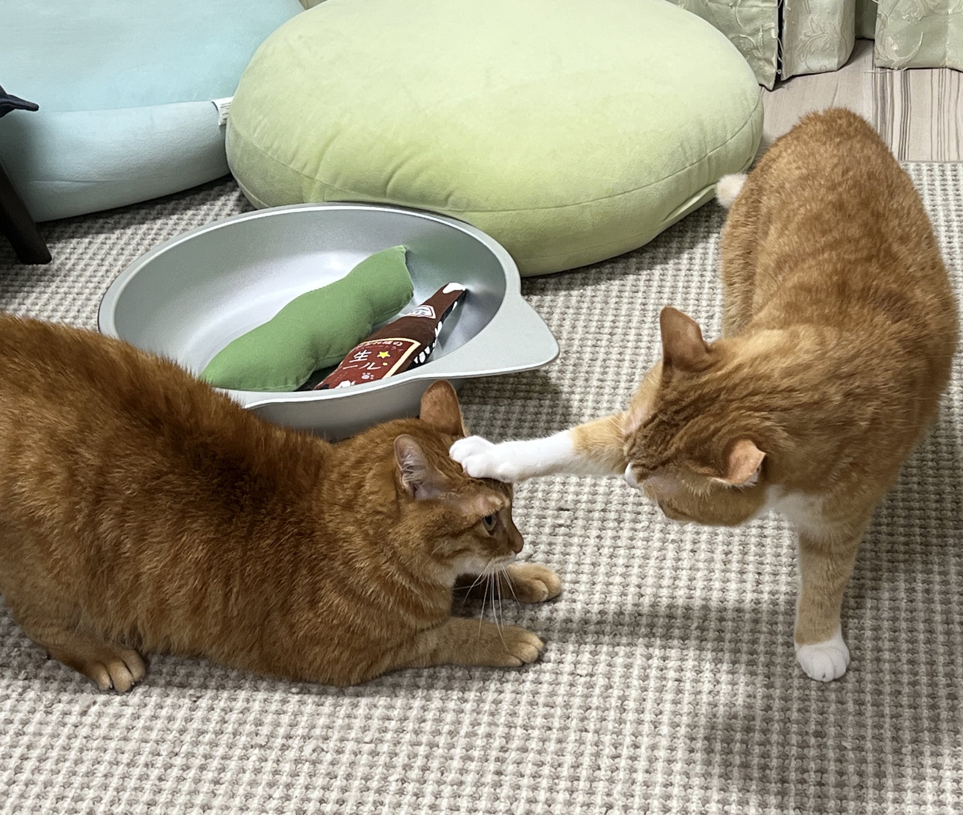 お値下げしました❗️ロイヤルクラウンダービー　スコティッシュテリア お値下げしました❗️ロイヤルクラウンダービースコティッシュテリア