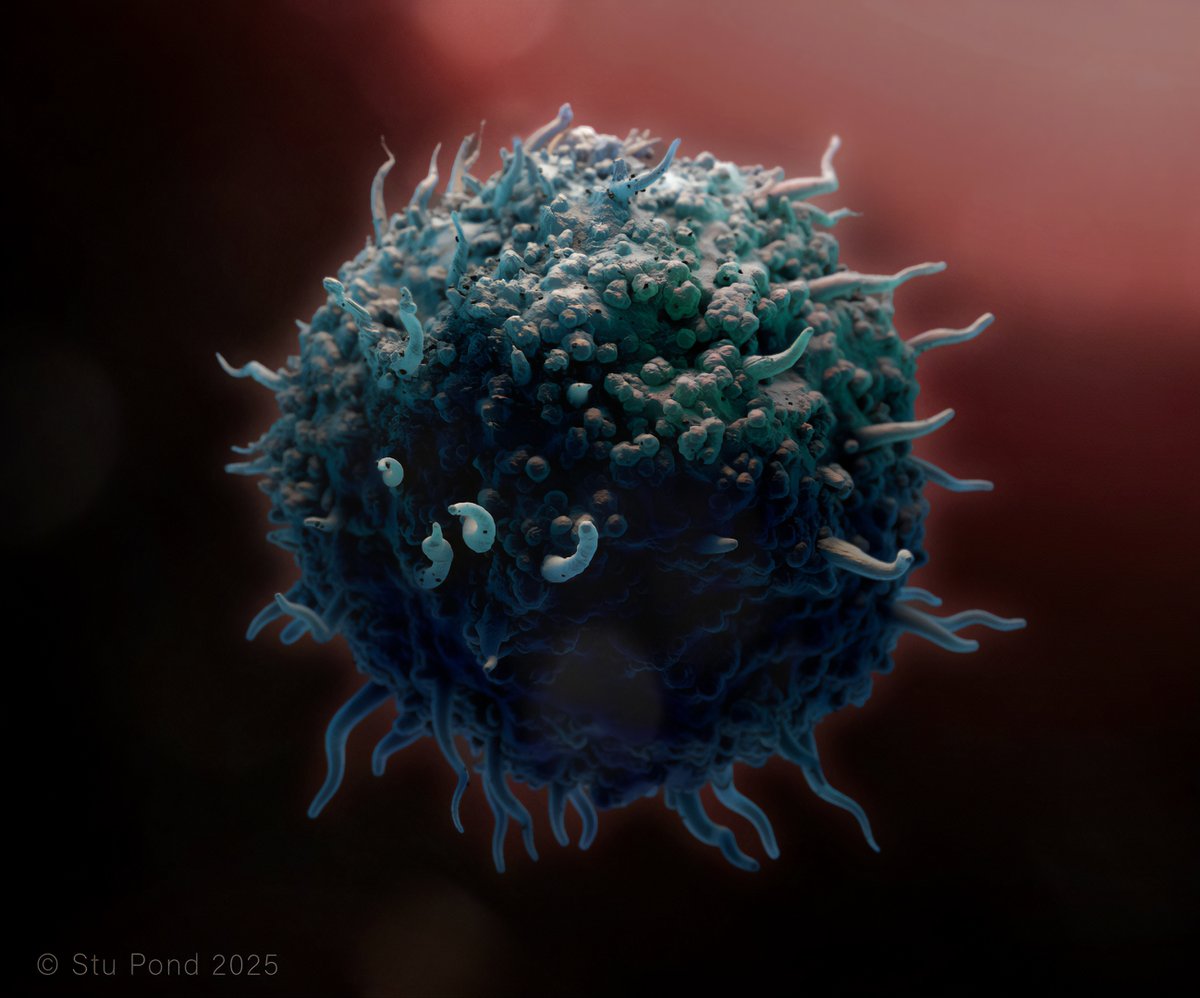 Stuart Pond Design tweet media