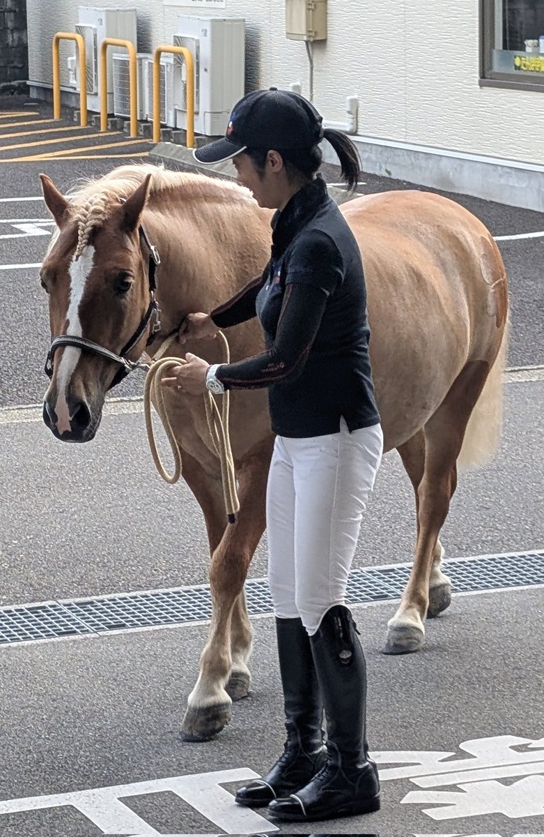 カサマックス の収録で #笠松競馬場 行ったんだけど途中マカロンちゃん