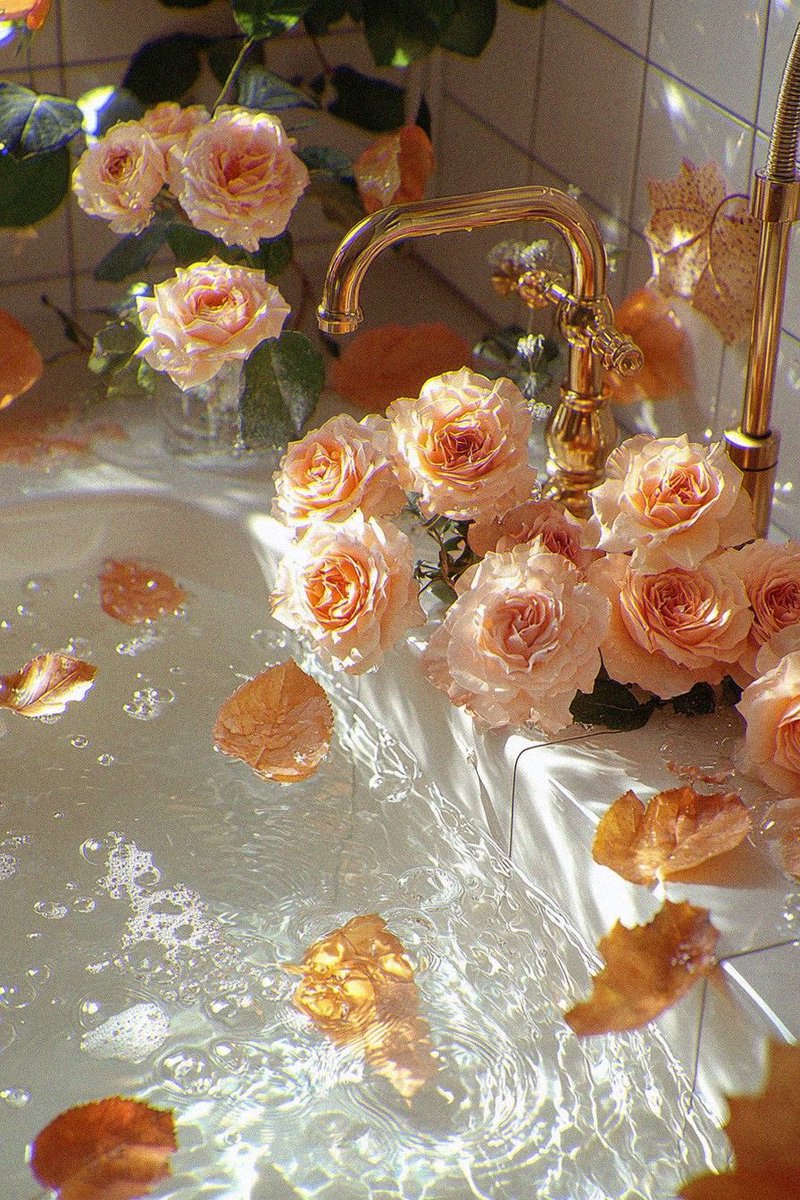Sol ☼ (@solithra) on Twitter photo 