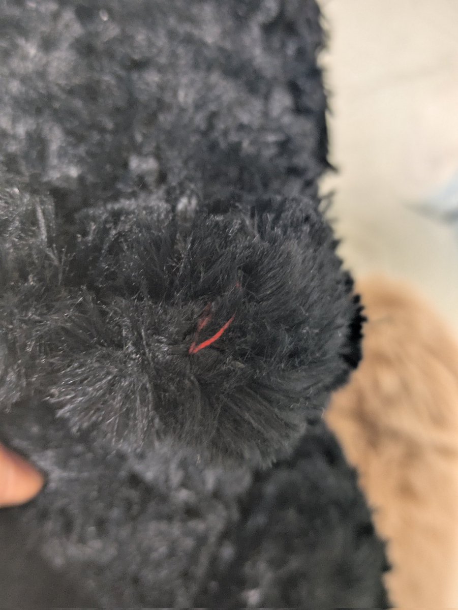 ちっちゃい方のりいしゅーねこちゃん、ひっそり小さな爪らしき糸があるのが𝑺𝒐 𝒄𝒖𝒕𝒆すぎますよね