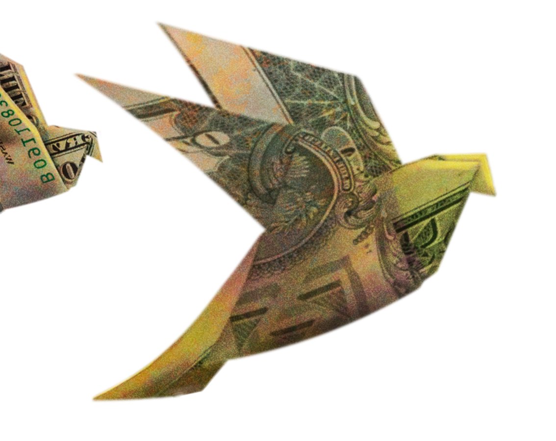 Ewan White tweet media