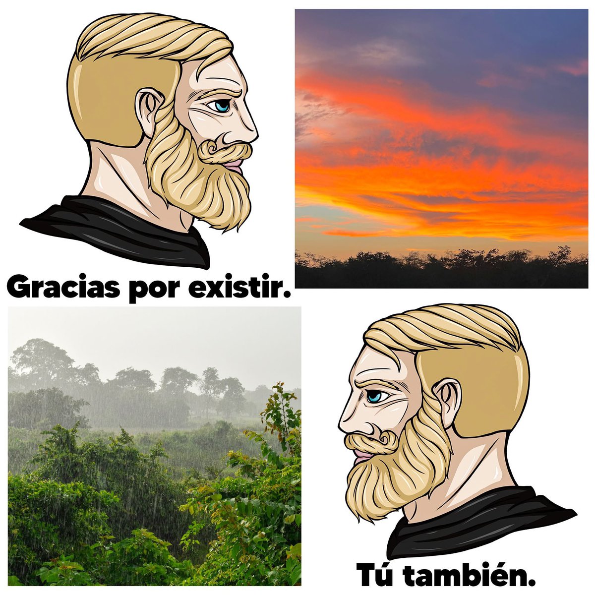 RincnCuriosoo's tweet photo. Gracias por existir.🤠 https://t.co/pjE8mI0iYn