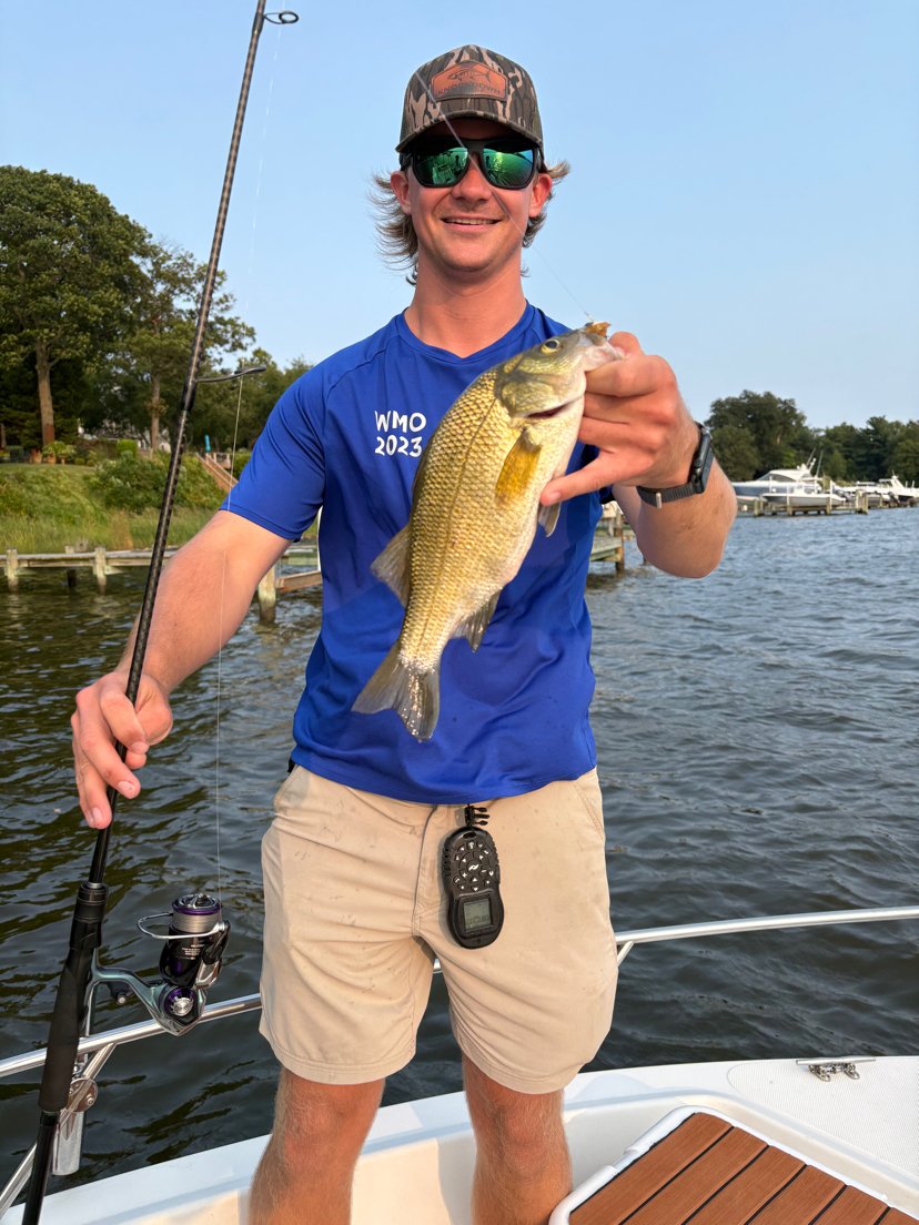 Our Current Live Bait:
- Spot
- Razor Clams
- Minnows
- Eels
- Nightcrawlers
- Red Worms
- Wangler Worms
with plenty of fresh and frozen bait to choose from!
📸 of Anglers Prostaff Ryan who holds up a BIG White Perch he caught!