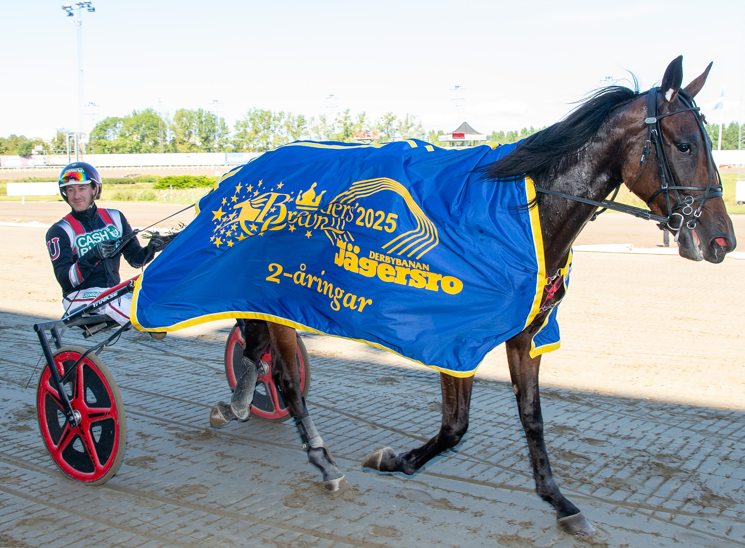 HalmstadTravet tweet media