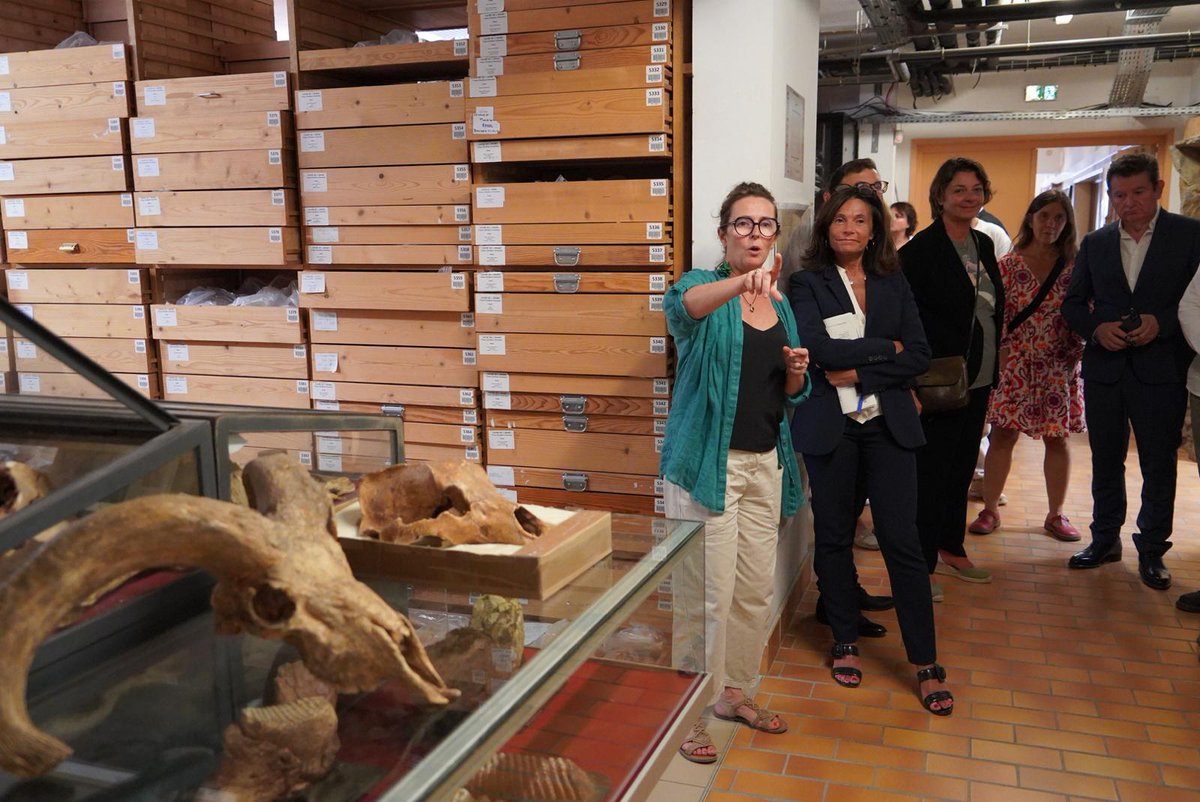 Au Musée de Préhistoire de #Tautavel, la rectrice <a href="/CDrucker_Godard/">Carole Godard</a> a visité les laboratoires et les réserves archéologiques &amp; découvert grâce aux équipes le projet de rénovation et de construction d’un nouveau musée, promettant d'être à la fois moderne, interactif et  pédagogique