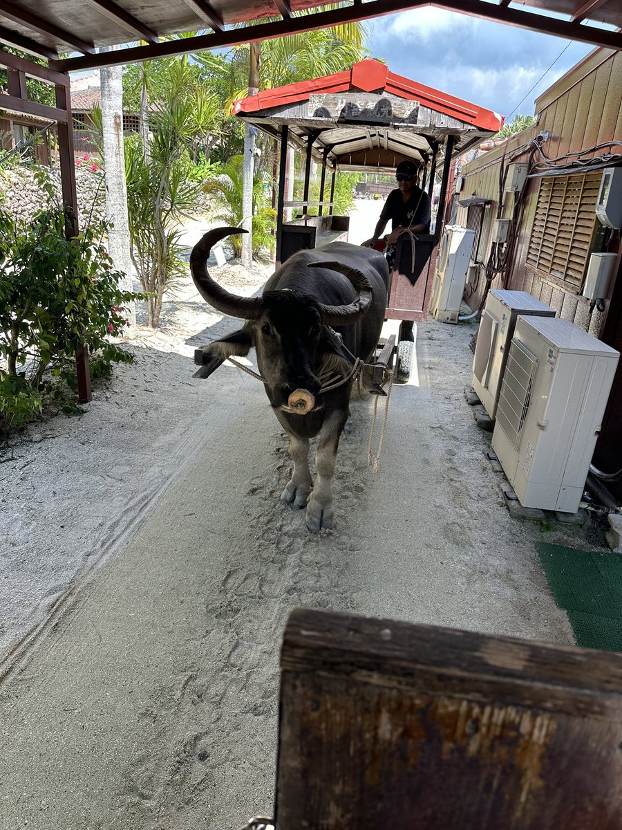 adaniya04's tweet photo. 今年も良き夏でした https://t.co/OL4SWktHs6
