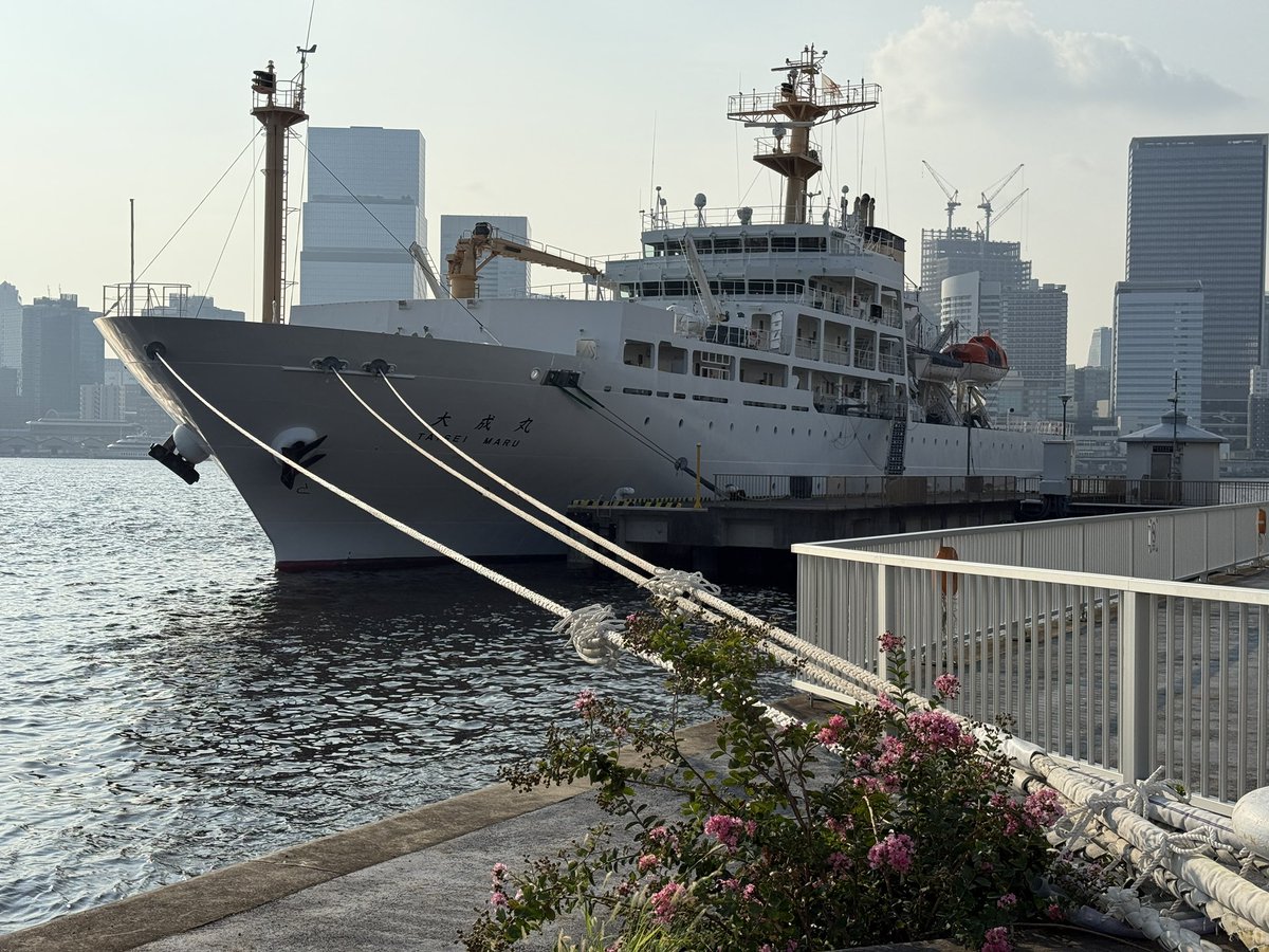 晴海地区⚓ on X: 