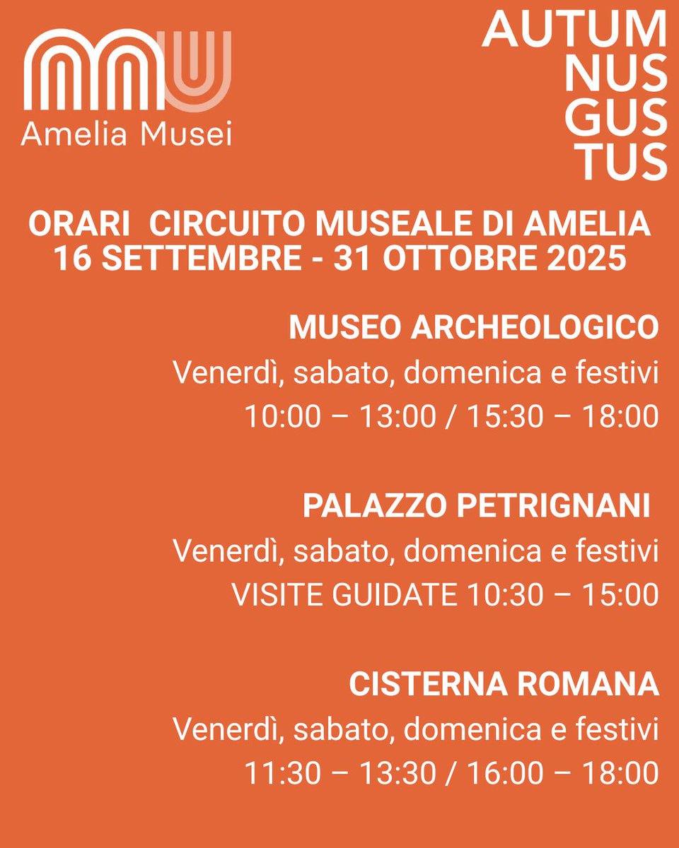 AmeliaMusei tweet media