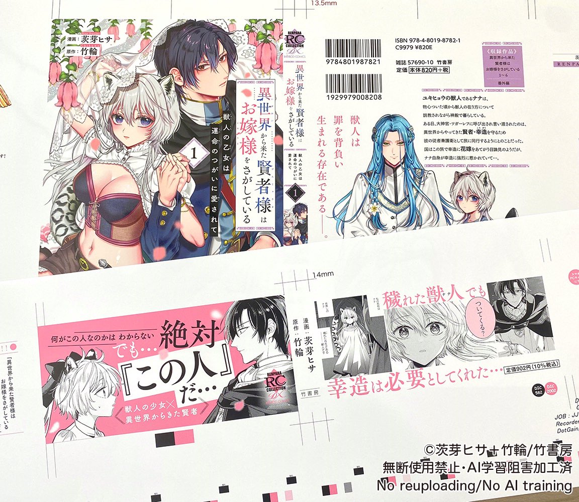 異世界から来た賢者様はお嫁様をさがしている 獣人の乙女は運命の