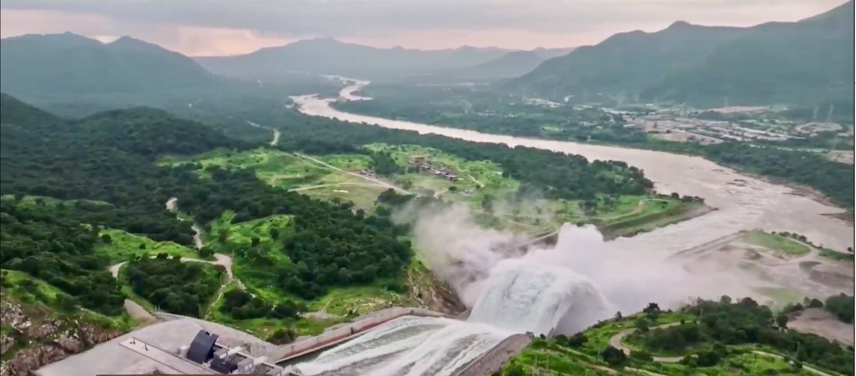 Zemedeneh Negatu tweet media