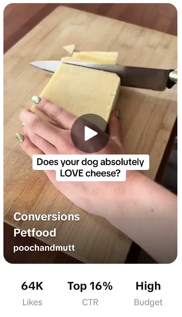 Mia & Fred | UK UGC Creator | Pet UGC 🐶 tweet media