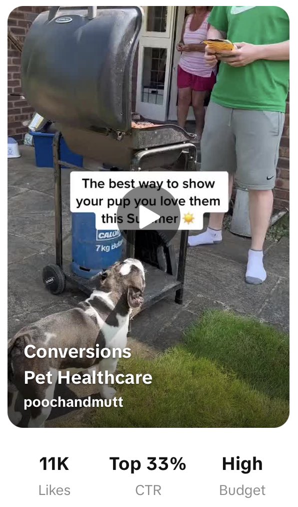 Mia & Fred | UK UGC Creator | Pet UGC 🐶 tweet media