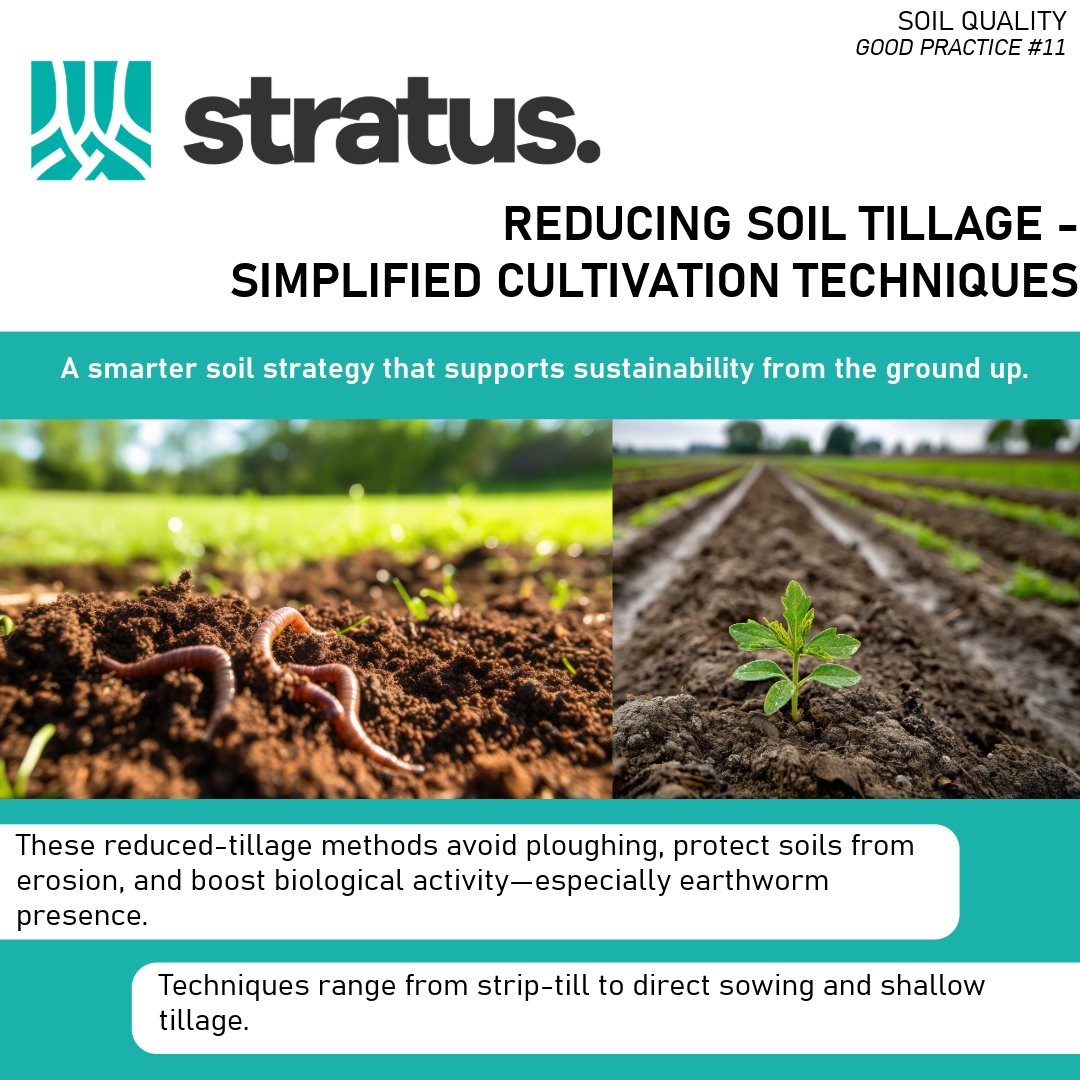 STRATUS is sharing the knowledge collected accross Eurpe to promote a more sustainable way to use fertilizers building a better future for agriculture.

👇Learn more here 👇
stratusproject.eu/wp-content/upl…