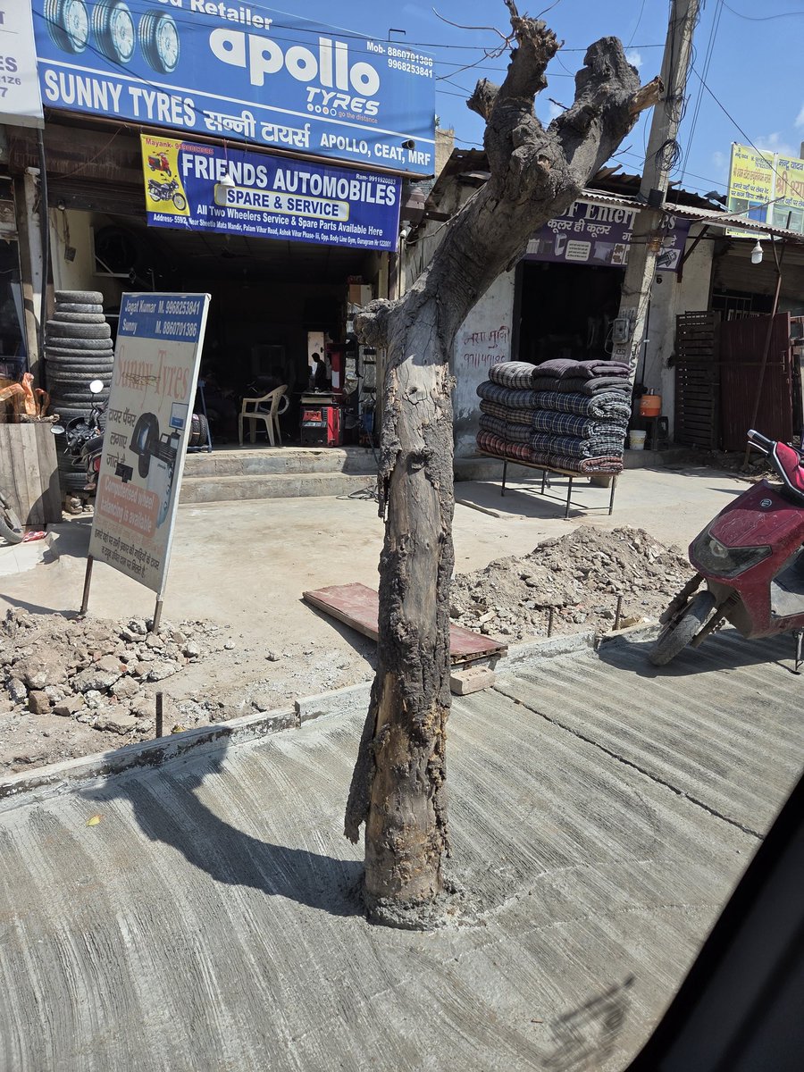 rahulrathee18's tweet photo. @MunCorpGurugram @OfficialGMDA are ur engineers , contractors, SDO's blind, or they aren't bothered , bqs formality poori Karni kaam ki, nobody could uproot yhis dead tree before building a cemented road around it, it's a shame to live in this city https://t.co/zOV1HZO3PJ