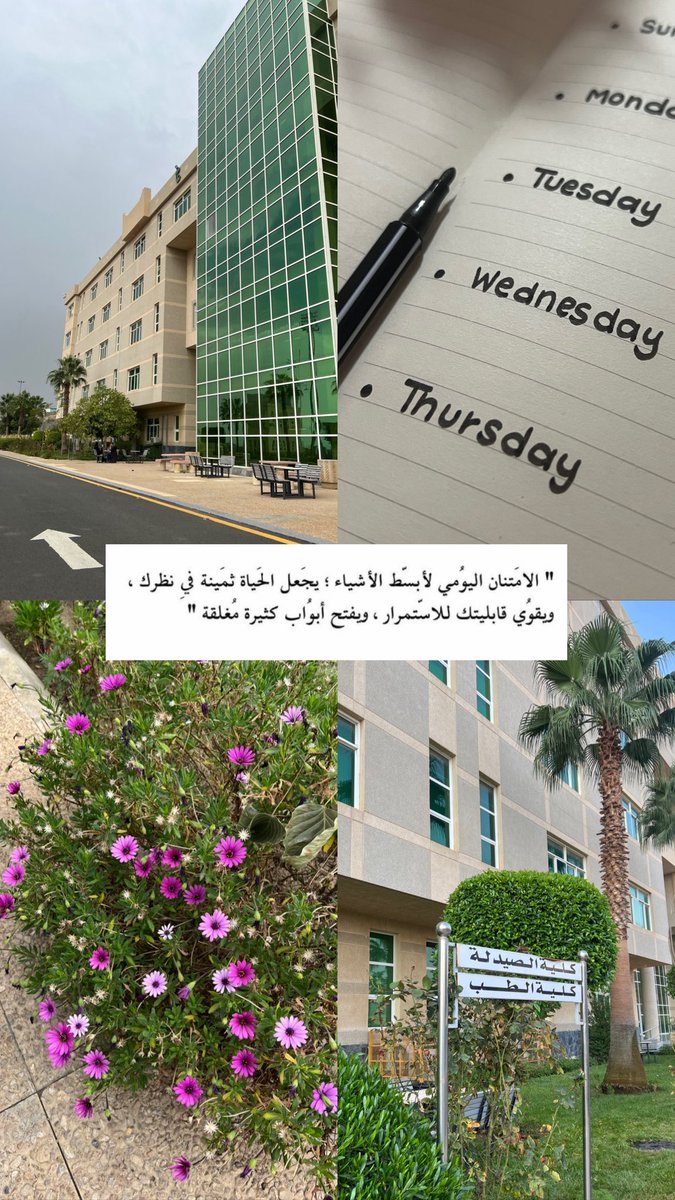 ᴡᴇᴊᴅᴀɴ🪄 tweet media