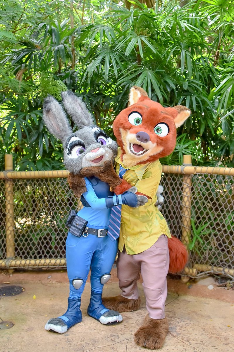 ___caliente15's tweet photo. 香港で会えたニクジュディちゃん🦊🐰💖
刺激つよすぎて倒れました( ᵕ̩̩ㅅᵕ̩̩ )尊い https://t.co/Z7V6Qy36wp
