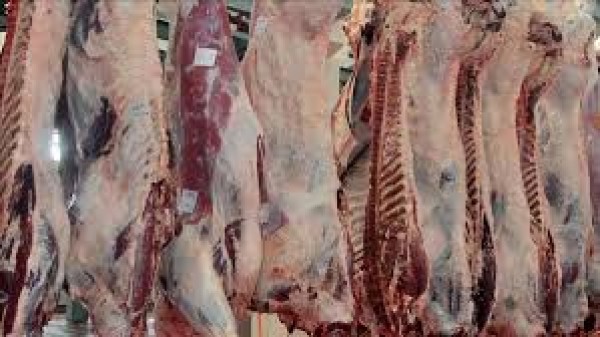 L_ESSOR's tweet image. #Mali : #Perspectives sahéliennes : Kilichi, Mali Sogo, Poulet bicyclette : Le Sahel, terre de viandes

Le Mali, le Burkina Faso et le Niger unissent leurs forces pour valoriser des richesses qui doivent d’abord nourrir leurs peuples. C’est l’esprit même de la Confédération des…